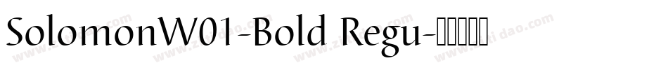 SolomonW01-Bold Regu字体转换